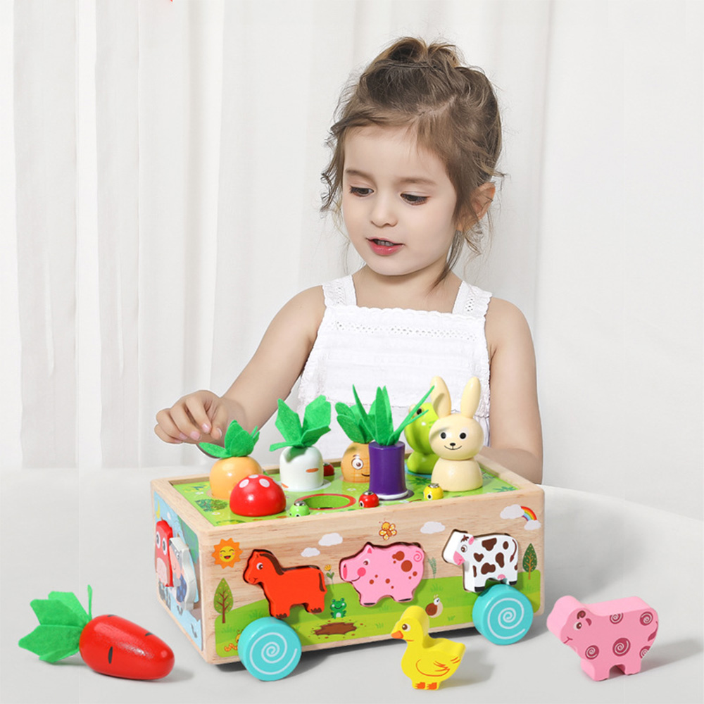 Wooden Shape Assortment Matchi - Kids Education Number ulasan dan harga